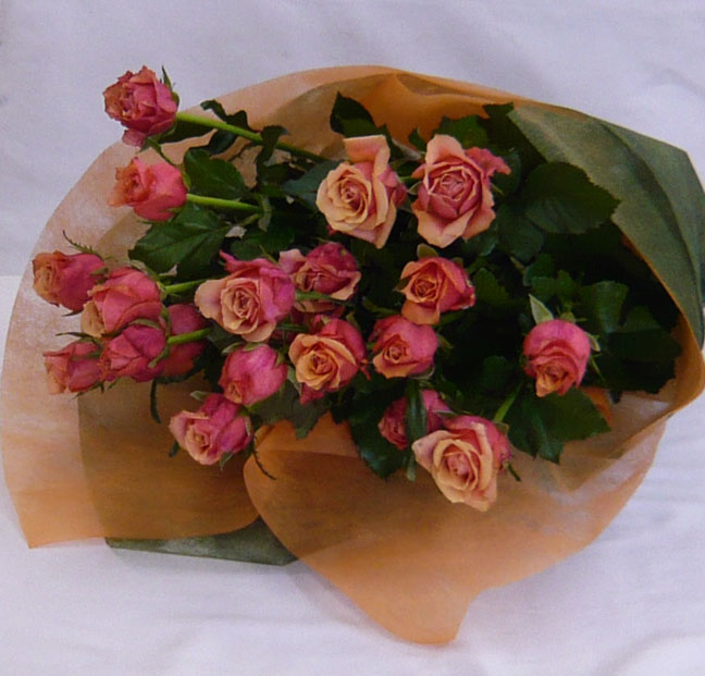 ����ԁ@���ԉԑ�/�`�F���[�u�����f�[